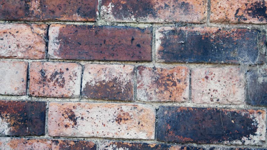 Old damaged grunge brick wall medium tilting 4k shot selective focus  | Shutterstock HD Video #1108560447