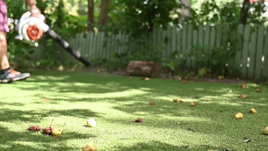 Cordless Leaf Blowers. handheld, cordless, electric leaf blower in a garden, selective focus. Autumn, fall gardening works in a backyard, on a lawn, grass. Garden works. Selective focus  Royalty-Free Stock Footage #1108563081