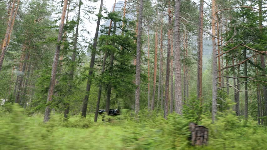 Dense Forest and Woodland and in the background the Mountains with the Clouded Sky
