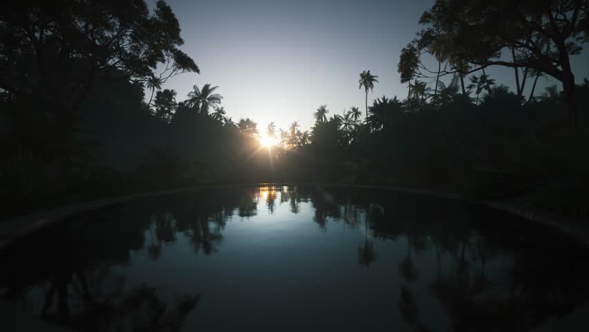 Infinity pool in jungle. Sunrise in tropical jungle | Shutterstock HD Video #1108565437