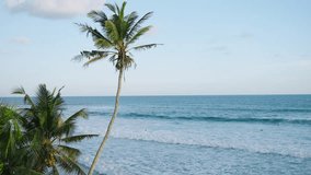 Tropical landscape of paradise island in the evening with coconut palm trees in foreground and blue wavy ocean in background. Tourist beach with beautiful view of water and jungle.