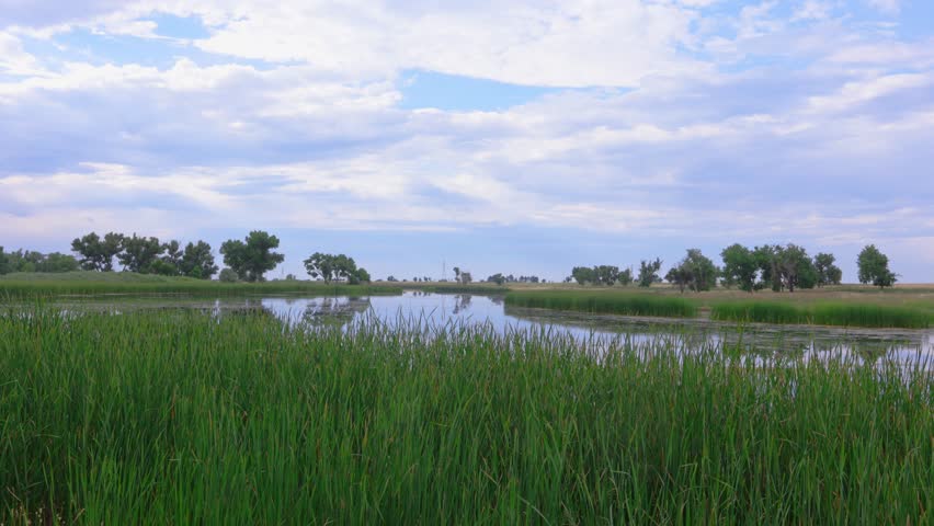 Ponds at Rocky Mountain Arsenal Wildlife Refuge in Commerce City