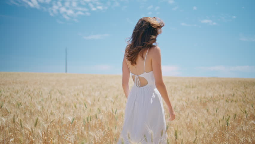Beaming lady walking sunny wheat farmland alone. Smiling cheerful girl looking camera at summer field. Happy woman spinning beautiful rural nature. Positive young model exploring country landscape Royalty-Free Stock Footage #1108574829