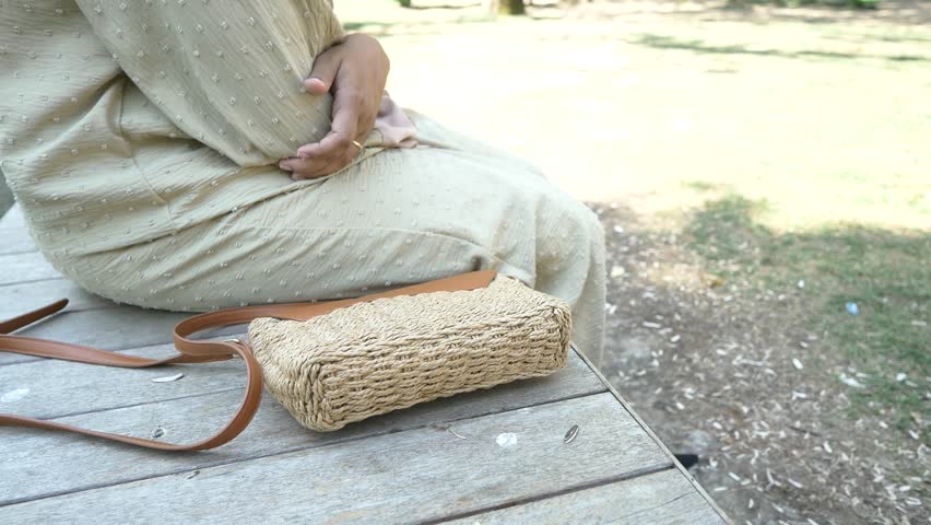 Woman left her purse on a bench in a park. Royalty-Free Stock Footage #1108585733