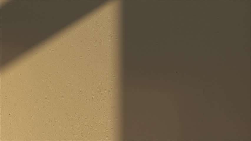 Growing and hanging ivy vines plant in front of wall. Beautiful evening light. Time lapse. Realistic 3D animation