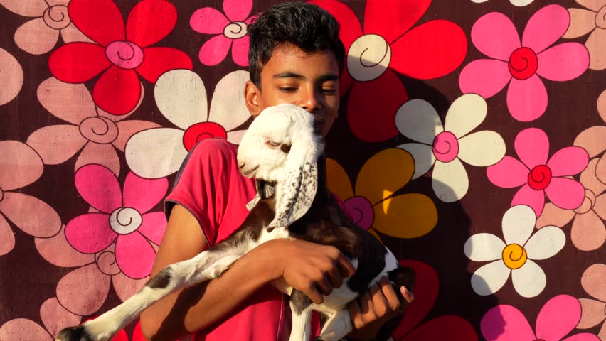 Indian child boy holding the small goat in flower fabric background. Pets animal and people concept.