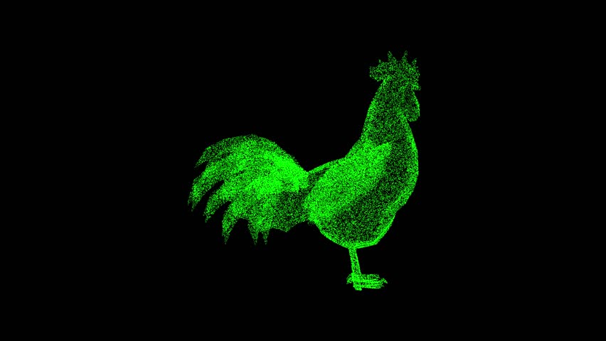 3D Rooster rotates on black background. Farming and Animals concept. Business advertising backdrop. For title, text, presentation. 3d animation 60 FPS