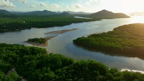 A breathtaking drone view of Thailand's mangrove forest reveals intricate intertwining waterways, vibrant green foliage, and vital coastal ecosystems harmoniously coexisting.
