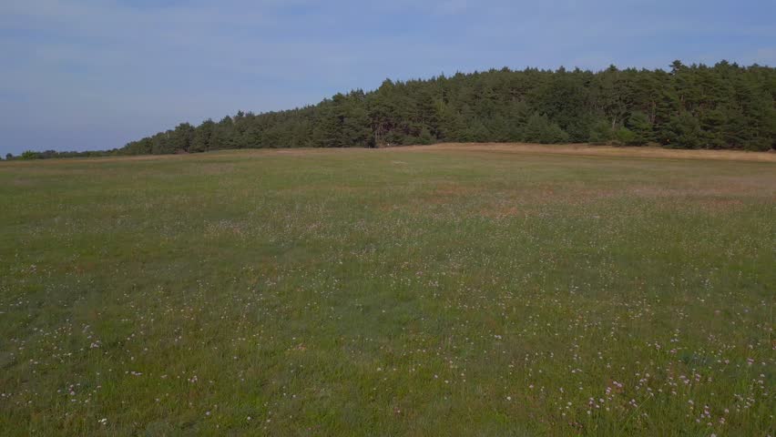 Perfect aerial top view flight
hilly heath forests summer flowers fields Brandenburg Germany 23. overflight flyover drone
High quality 4k cinematic footage