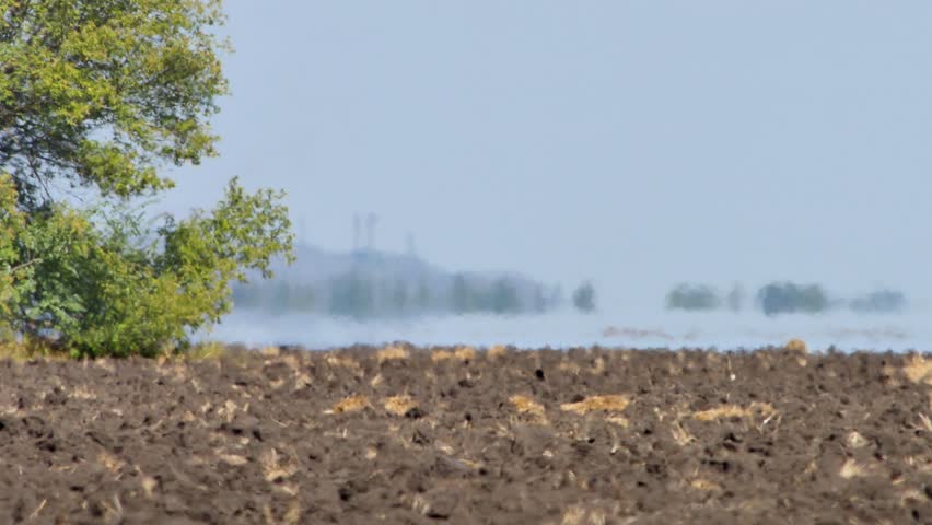 Mirage above farmland in hot day. Trees on horizon seem to be floating in water. Green tree on left side of video. Abnormal heat creates optical phenomenon - mirage. Global warming concept video Royalty-Free Stock Footage #1108612031