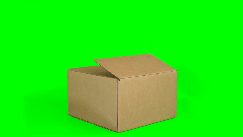 Bengal cat getting out of cardboard box on green screen isolated with chroma key. Royalty-Free Stock Footage #1108614267