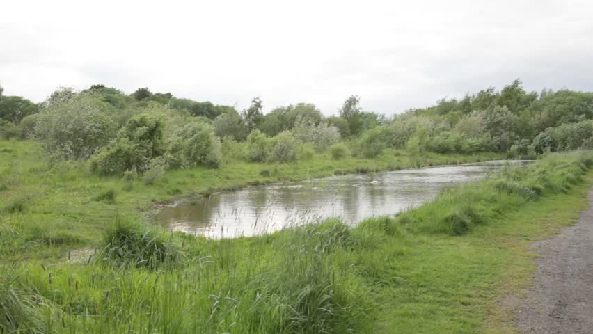 holmhills wood community park in lanarkshire, scotland