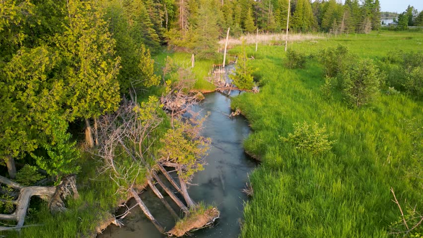 Aerial view of vegetated creek, Upper Peninsula, Michi