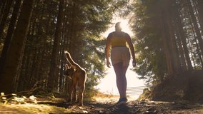 LENS FLARE, LOW ANGLE VIEW: Young lady on a hike with her dog through forest. She went on a pleasant walk towards the alpine peak with her cute furry friend on a beautiful and warm sunny autumn day. - Powered by Shutterstock - Get 15% off with code: PIKWIZARD15