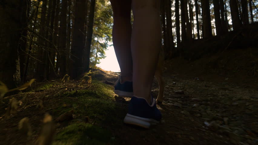 LOW ANGLE VIEW, CLOSE UP: Woman walks along a shady forest trail with her dog. View of a young doggo and sporty female feet hiking uphill on a path through dense alpine woods on a sunny autumn day. Royalty-Free Stock Footage #1108616067