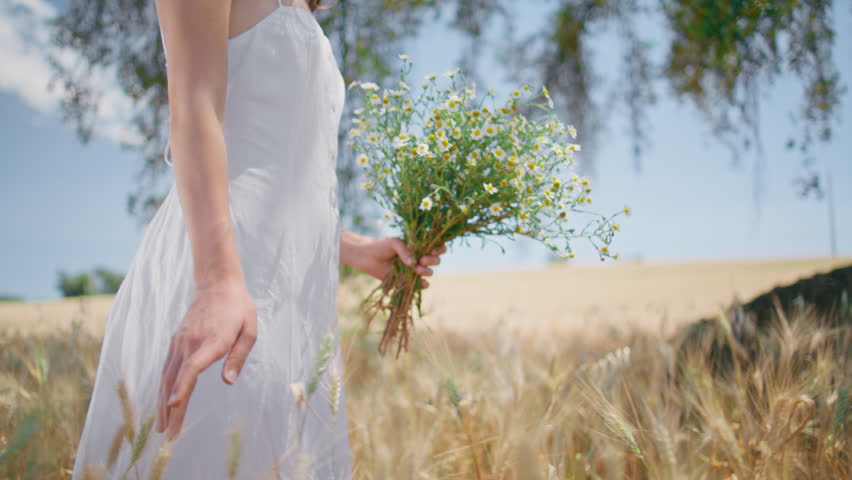 Woman figure walking spikelets field closeup. Graceful happy lady sniffing bouquet strolling rural meadow. Romantic smiling model crossing summer garden nature enjoying relishing wildflowers aroma Royalty-Free Stock Footage #1108618399