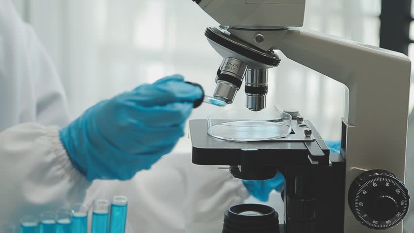 Health care researchers working in life science laboratory. Young female research scientist and senior male supervisor preparing and analyzing microscope slides in research lab. Royalty-Free Stock Footage #1108623615