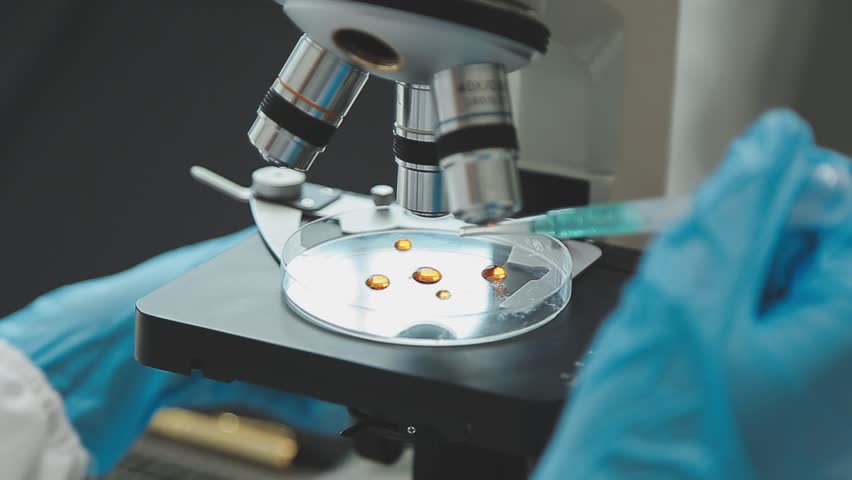 Health care researchers working in life science laboratory. Young female research scientist and senior male supervisor preparing and analyzing microscope slides in research lab. Royalty-Free Stock Footage #1108623617