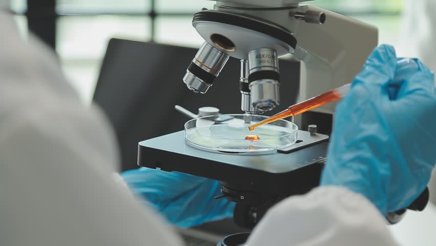 Health care researchers working in life science laboratory. Young female research scientist and senior male supervisor preparing and analyzing microscope slides in research lab. Royalty-Free Stock Footage #1108623665