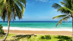 Aerial view drone shot fly to sea,Sunny sky and Palm trees in summer day.Flying around a palm tree,Coconut trees on beach,Summer background