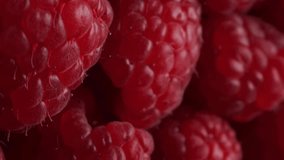 fresh raspberry, rotation in circle. baby red berry, Turning. selective focus. fruit and berry season. vertical video