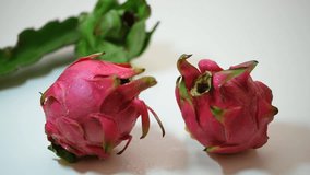 Moisturized by drizzle, a video of two dragon fruits seeming to be having a conversation.
