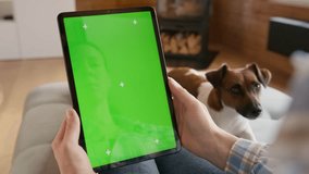 tablet computer with green screen chromakey display with motion trackers in woman hand with dog jack russel on background sitting on sofa. finger scroll and tap gesture - Powered by Shutterstock - Get 15% off with code: PIKWIZARD15