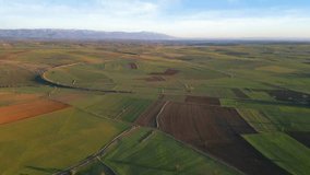 Bird's eye view of agricultural area and green wavy fields in sunny day. Agronomic industry. Cinematic aerial shot. Beauty of earth. Filmed in UHD 4k, drone video.