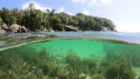 Split underwater view of Anse Royale beach. Mahe island, Seychelles