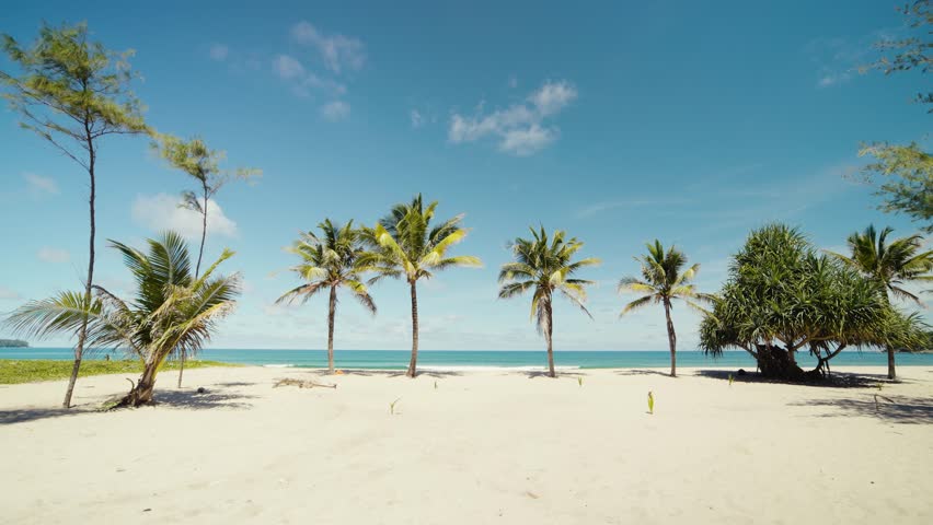 Wide landscape view dolly shot POV camera travel summer beach. Scene beach blue sky seascape ocean. Palm trees tropical empty summer nature holiday vacation concept. 