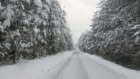 Driving POV of snow covered closed mountain road with pine tree forest - Powered by Shutterstock - Get 15% off with code: PIKWIZARD15
