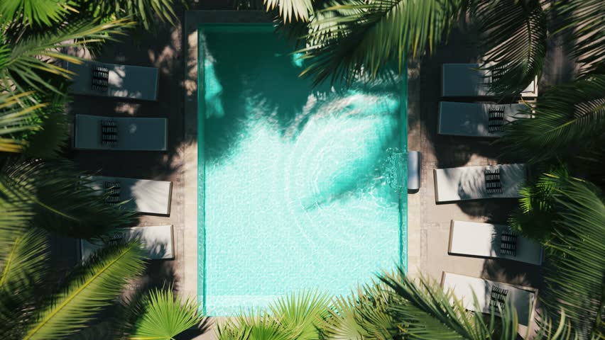 Luxurious swimming pool with palm trees, top view. Aerial drone view of swimming pool | Shutterstock HD Video #1108657655