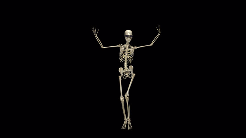 Pretty Skeleton - Belly Dancer - 
Funny Halloween 3D animation isolated on transparent background with alpha channel
