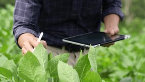 Hands of farmer, Agriculture technology farmer man using tablet Modern technology concept agriculture. - Powered by Shutterstock - Get 15% off with code: PIKWIZARD15