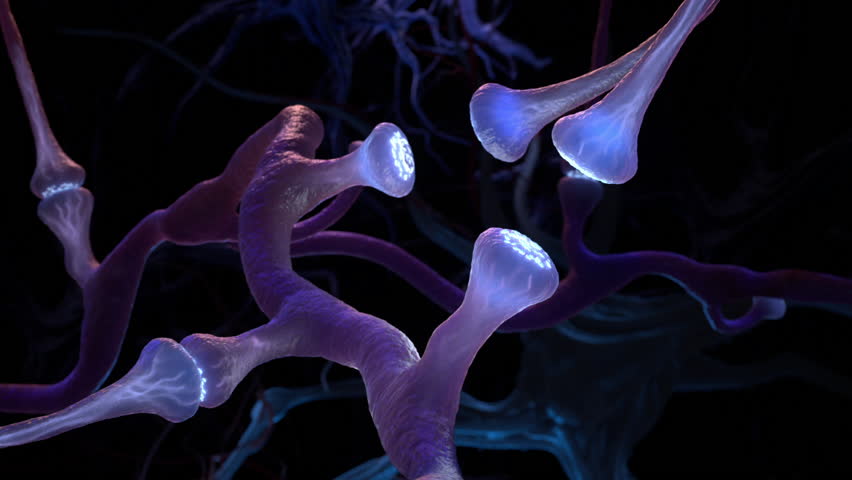 Synapse and Neuron cells send electrical chemical signals. 3D animation Royalty-Free Stock Footage #1108676211