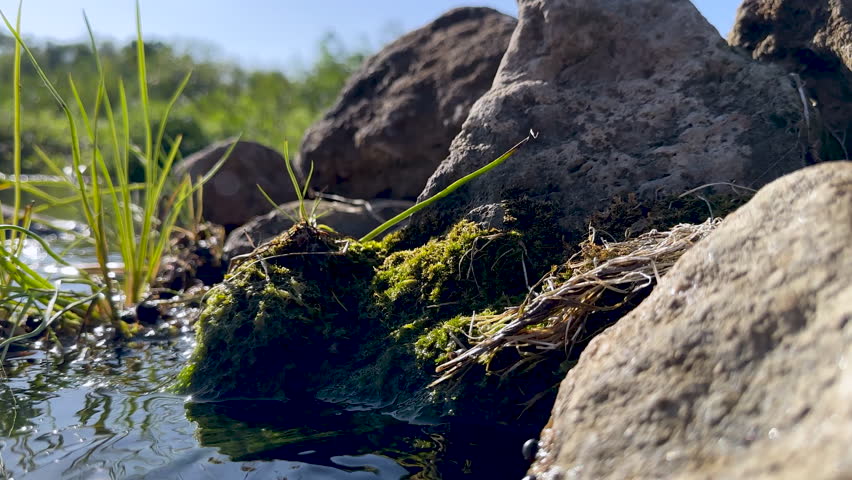 Camera goes underwater on  mountain river with algae and clear fresh water with air bubbles | Shutterstock HD Video #1108676251