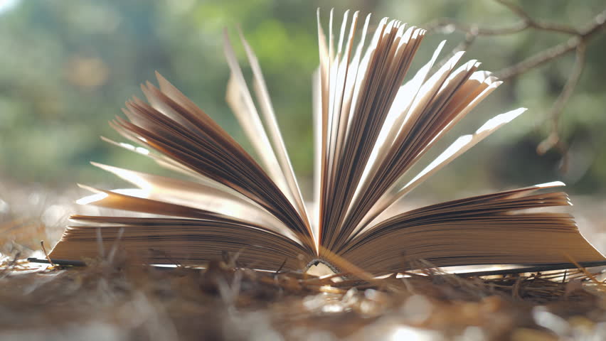 Open book in the forest. The concept of learning, reading, and knowledge. Close-up. Blurred background. 4k video