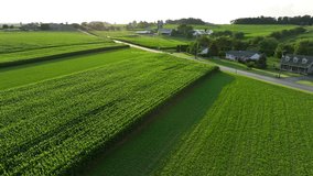 Green fields in rural USA farms. Aerial shot at sunset. Cornfields and farmland during summer. - Powered by Shutterstock - Get 15% off with code: PIKWIZARD15
