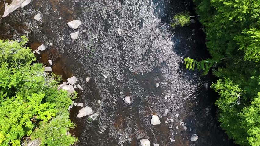 Aerial view of Peshtigo River across the Chequamegon-Nicolet National Forest, Sheboygan, Wisconsin, United States.