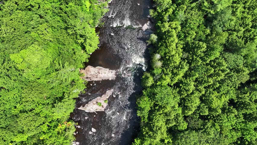 Aerial view of Peshtigo River across the Chequamegon-Nicolet National Forest, Sheboygan, Wisconsin, United States.