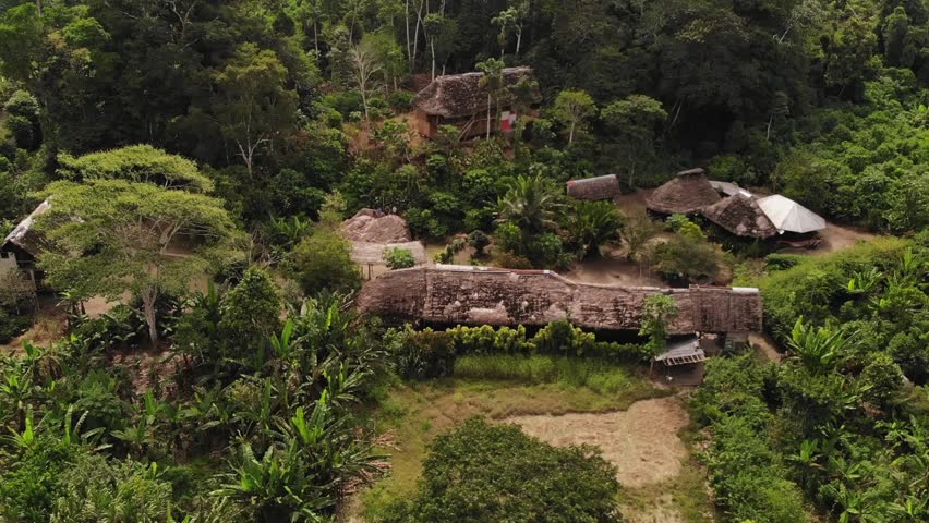 Aerial View of Tribe Village of Native Indigenous Community of Ecuadorian in Amazon Forest Royalty-Free Stock Footage #1108686179