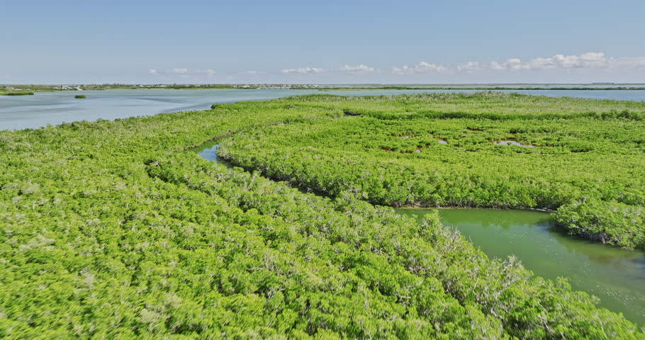 Key West Florida Aerial v35 flyover capturing vast expanse of pristine white mangroves along Fivemile Creek with lower sugarloaf sound and state road A1A views 
