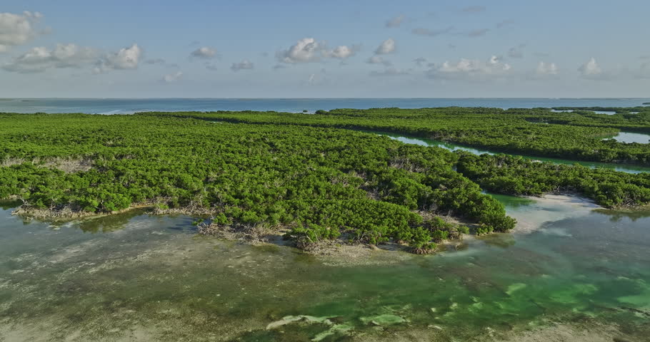 Key West Florida Aerial v28 cinematic drone flyover and around Mud Keys channels capturing island covered in lush mangroves forests with extensive root systems 