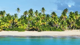Summer morning on a tropical island with coconut trees on the beach. Beautiful seascape of the Mexican coast. Walk along the white sand of the sea beach. Picturesque landscape of wild nature.