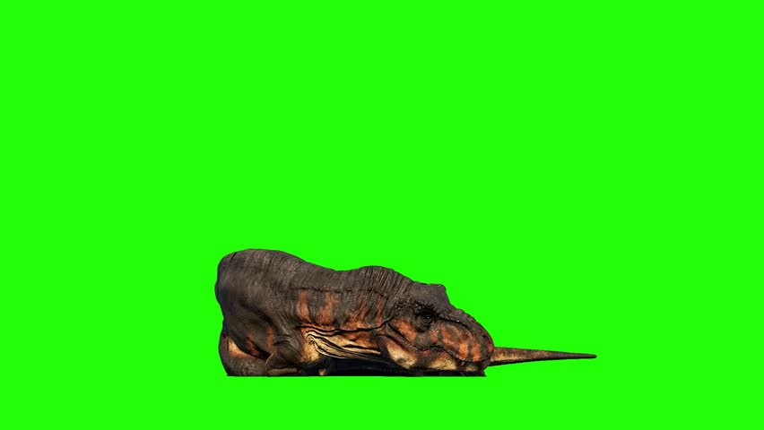 Dinosaur on Green Screen - Tyrannosaurus Rex