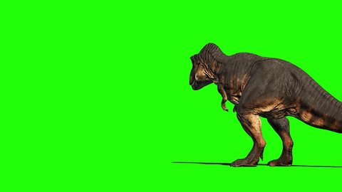 Tyrannosaurus T-Rex Run Green Screen 3D , Stock Video