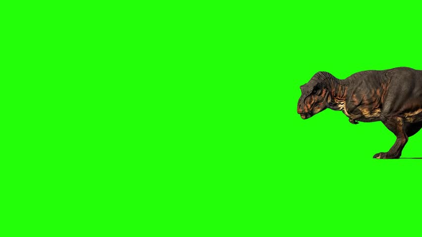Dinosaur on Green Screen - Tyrannosaurus Rex