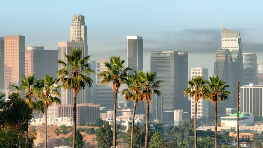 Modern city view at golden sunrise. Morning light on high modern skyscraper buildings in downtown Los Angeles with green palm tress on foreground. Aerial view for copy background, USA California 4K