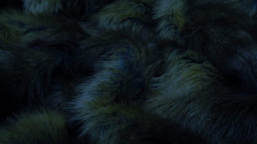 Passing Animal Fur In The Dark Royalty-Free Stock Footage #1108705963