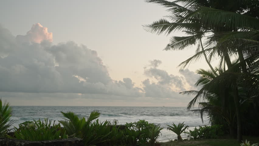 Coconut evergreen plants, palm trees, bushes and flowers on ocean shore of tropical island on foreground. Evening landscape of turquoise ocean with waves and blue sky with clouds on background.
